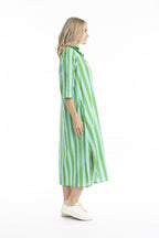 Sofia Shirt Dress