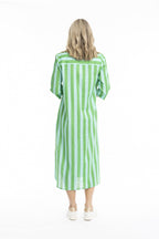 Sofia Shirt Dress