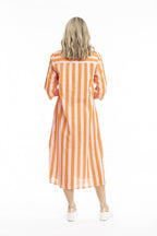 Sofia Shirt Dress